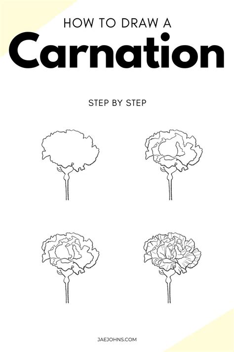 carnation flower red drawing gucci|How to Draw a Carnation .